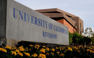 UC Riverside Obtains $5M to Train Stem Cell Scientists